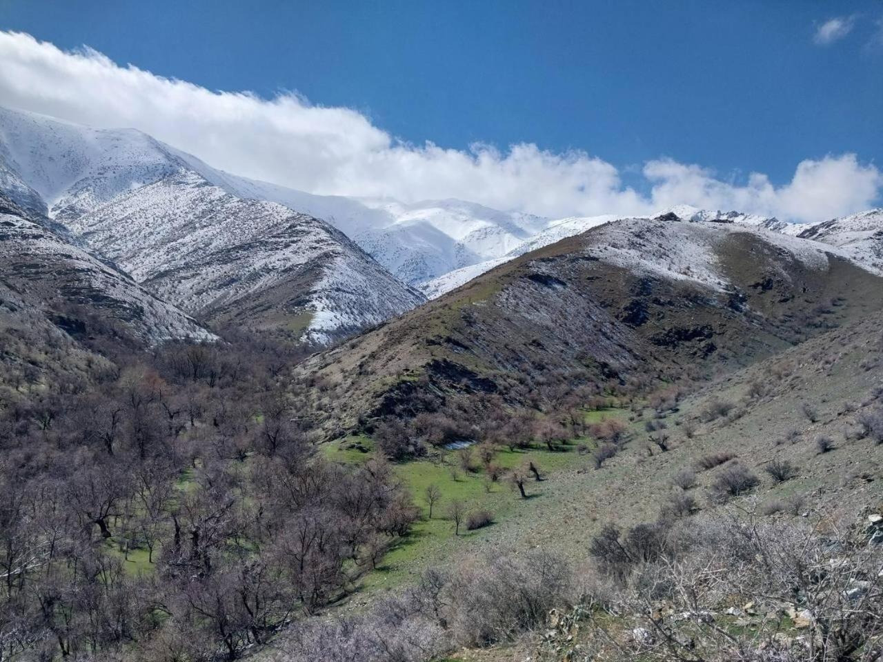 Hayat Guesthouse Nuratau Mountain Yukary-Ukhum Luaran gambar